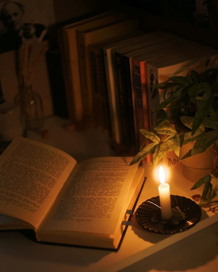 The Feeling of Reading at Night: A Quiet Moment in a Busy World